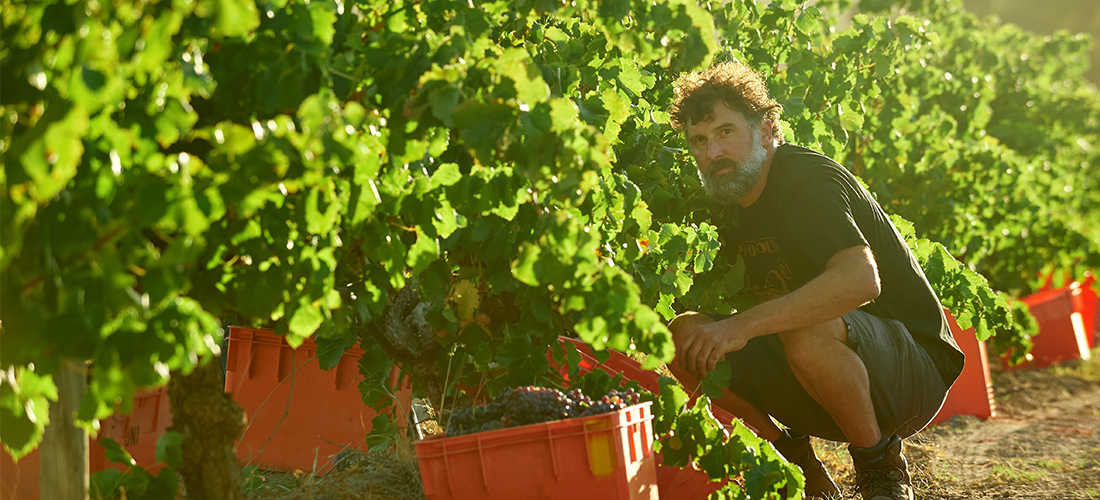 Garth Cliffe amongst the vines